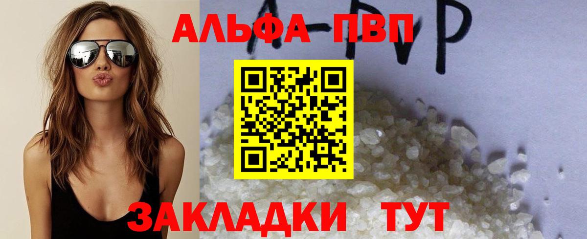 Альфа ПВП СК Выборг