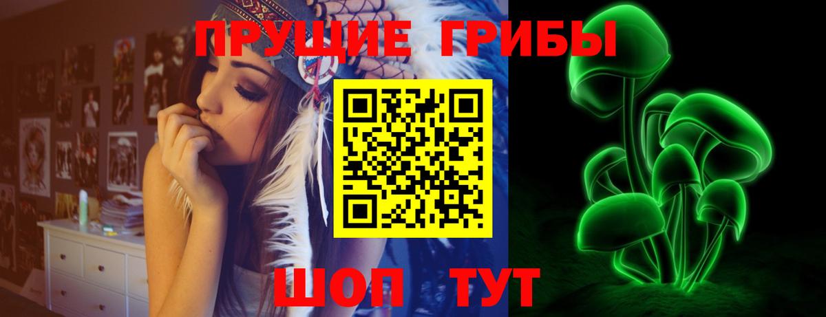Выборг  Галлюциногенные грибы Magic Shrooms  Вход с VPN 